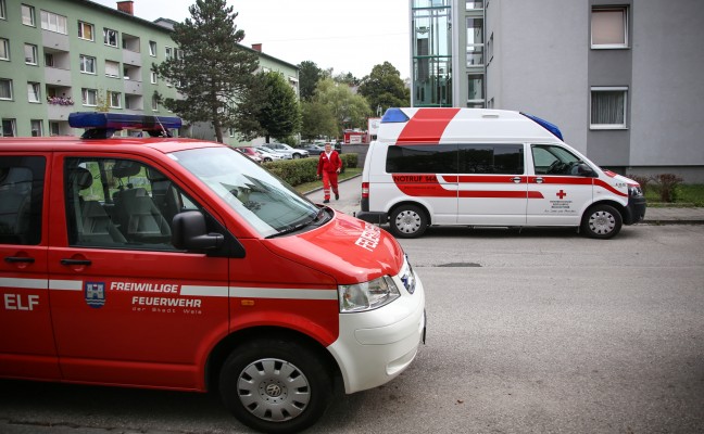 Verletzte Person durch angebranntes Kochgut in Wels-Lichtenegg