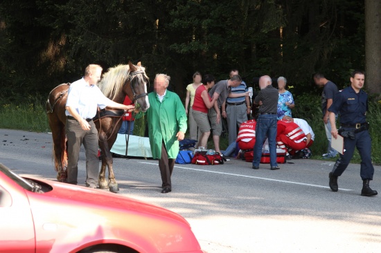 Schwerer Verkehrsunfall mit einer Pferdekutsche