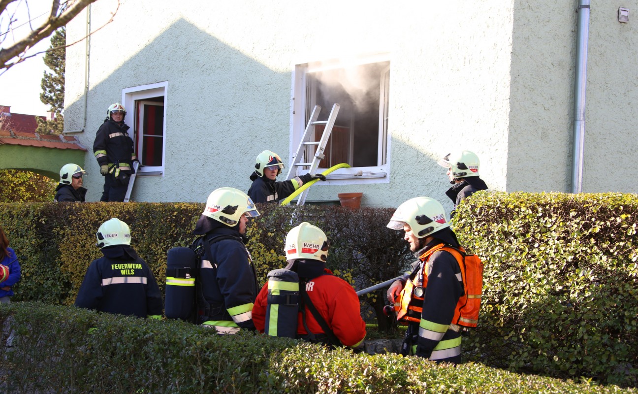 Single wohnung wels land