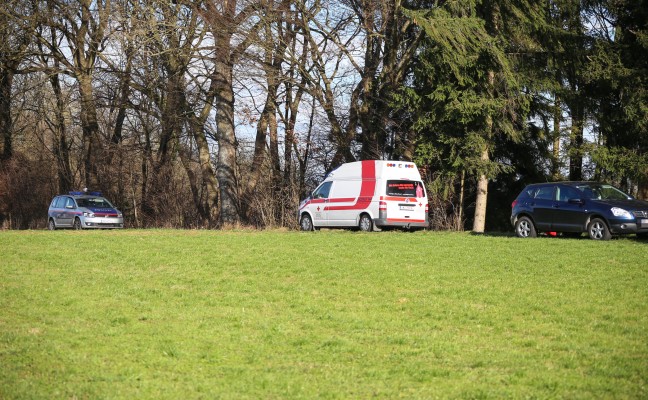 Tdlicher Unfall bei Forstarbeiten in Wels-Waidhausen