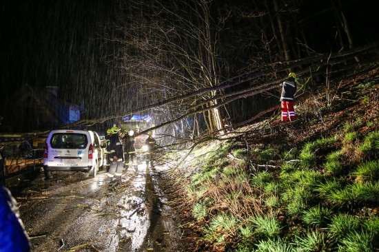Entwurzelter Baum stürzte auf abgestelltes Fahrzeug und Hausdach