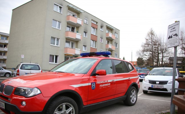 Laut miauende Katze sorgte fr Feuerwehr- und Polizeieinsatz in Wels-Vogelweide
