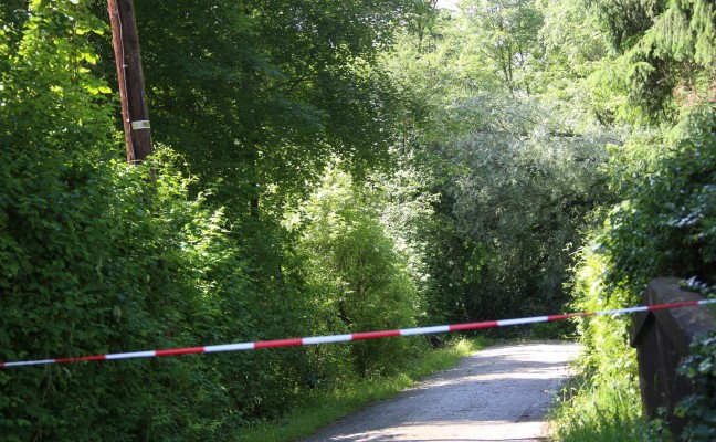 Umgestrzter Baum blockiert Mhlstrae in Wels-Schafwiesen