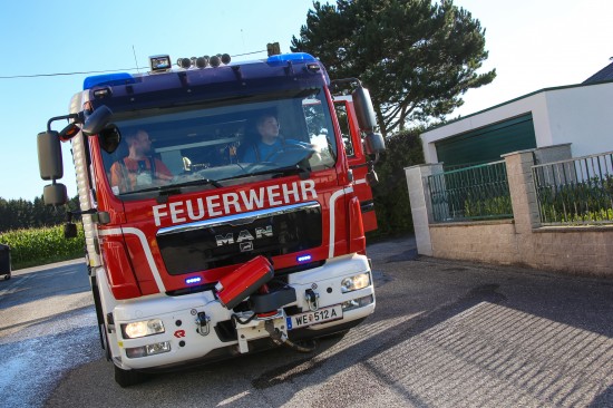 Feuerwehr bei Brand einer Thujenhecke in Wels-Oberthan im Einsatz