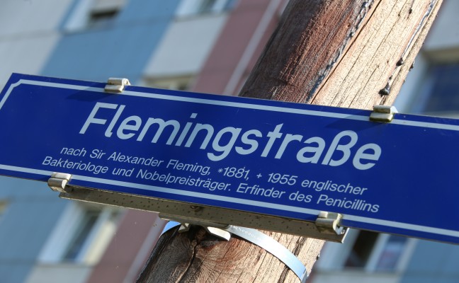 Kind bei Verkehrsunfall in Wels-Vogelweide verletzt
