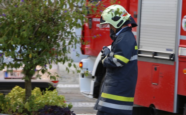 Verletzte Taube am Welser Stadtplatz mit Drehleiter gerettet