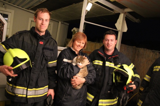 Feuerwehr holte Katze aus vier Meter tiefem Schacht