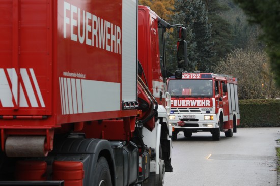 Missglückte Baumfällung in Thalheim bei Wels erforderte Unterstützung durch die Feuerwehr