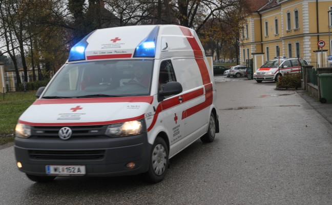 Reitunfall in Stadl-Paura fordert eine Schwerverletzte