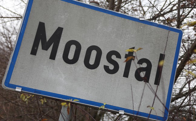 Mehrere Schafe bei Kleinbrand in Gunskirchen verendet
