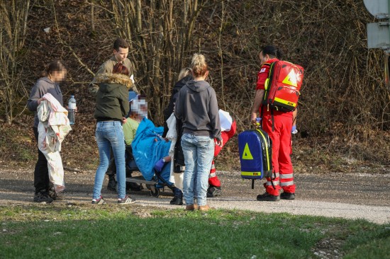 Schwere Hundebissverletzung bei Spaziergang mit Hund in Wels-Schafwiesen