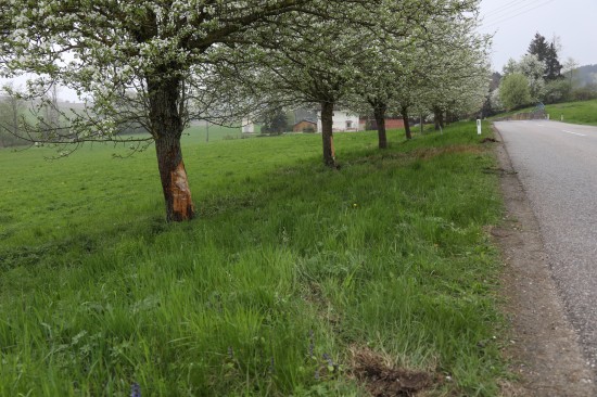 Autolenkerin kracht bei Unfall in Pichl bei Wels gegen Obstbäume