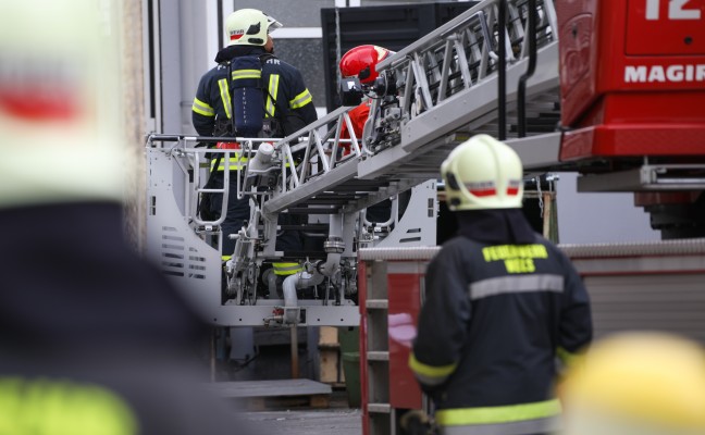 Brand in Filteranlage eines Gewerbebetriebs in Wels-Pernau