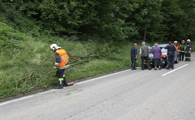 Auto während der Fahrt auf der Sipbachzeller Straße in Thalheim bei Wels von umstürzenden Baum getroffen