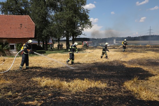 Hunderte Einsatzkräfte bei größeren Feldbränden im Löscheinsatz