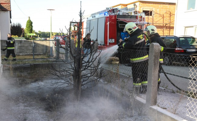 Brennender Baum in einem Garten eines Hauses in Wels-Pernau