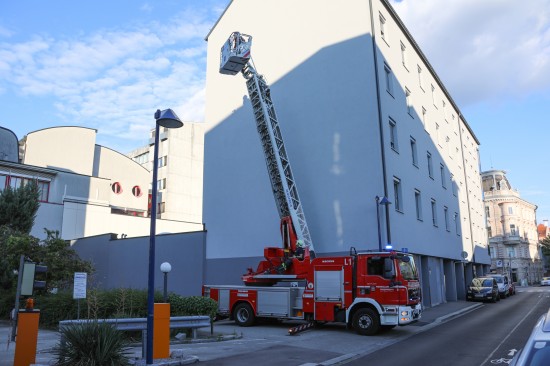 Verletzter Vogel durch Feuerwehr vom Dach eines Gebudes in Wels-Innenstadt gerettet