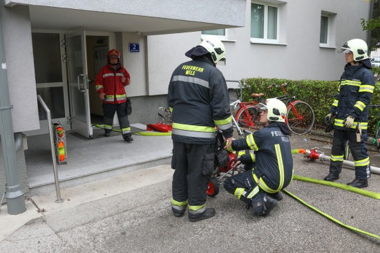 Kaffeemaschine auf eingeschalteter Herdplatte in Brand geraten