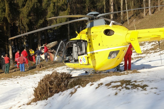 Tödlicher Forstunfall in Eberstalzell