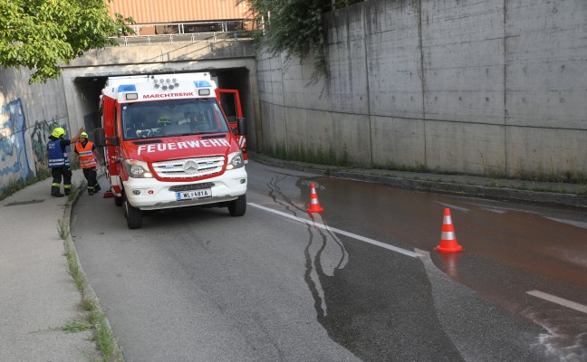 Feuerwehr nach grerem laustritt in Marchtrenk im Einsatz