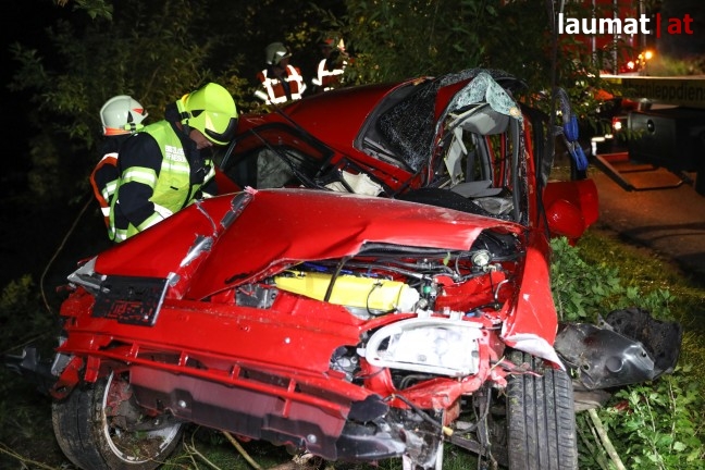 Auto Um Baum Gewickelt