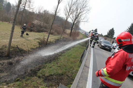 Böschungsbrand in der Salzburger Straße schnell gelöscht