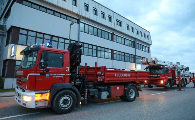 Sicherungsarbeiten nach Sturmschaden in Wels-Pernau