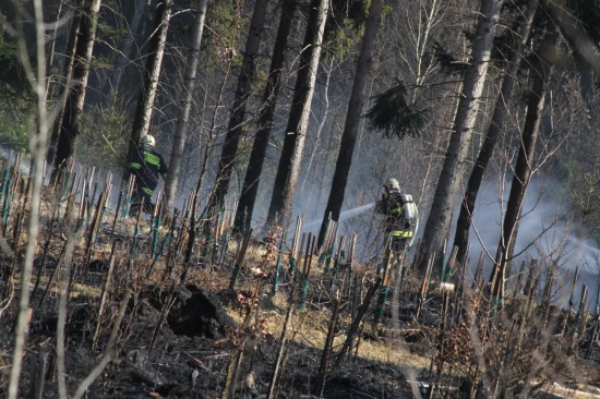 Feuerwehreinsatz bei ausgedehntem Flurbrand in Gunskirchen