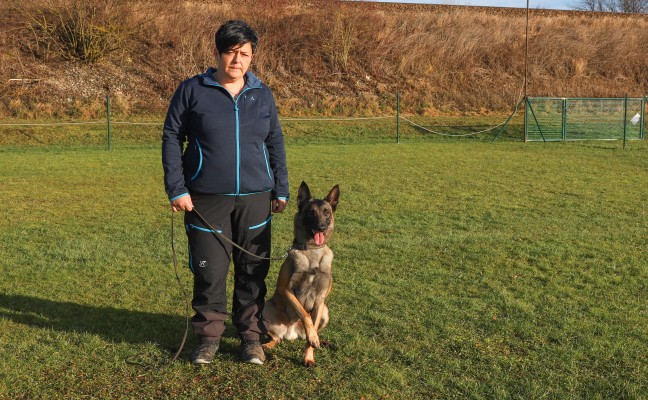 Reingel auf einem Hundesportplatz in Wels-Oberthan verstreut