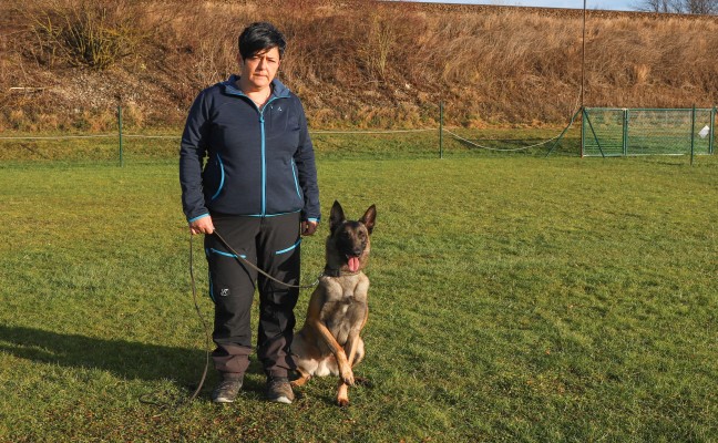 Reißnägel auf einem Hundesportplatz in Wels-Oberthan verstreut